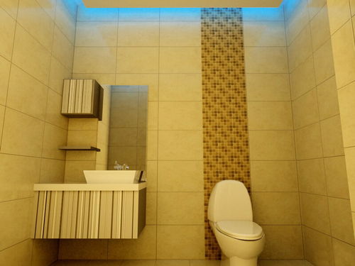 衛(wèi)生間裝修效果圖推薦與風(fēng)水小知識(shí) | 金斗門業(yè)